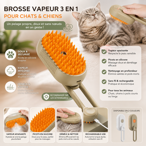 Brosse à vapeur anti poils 3 en 1