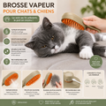 Brosse à vapeur anti poils 3 en 1